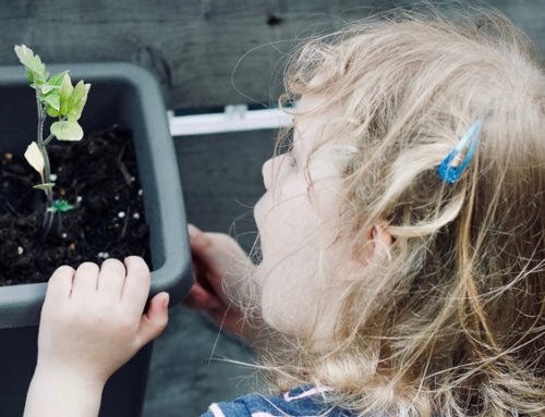 10 Tips for Cultivating Green Munchkins